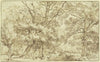 Forest landscape