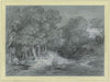 Forest landscape