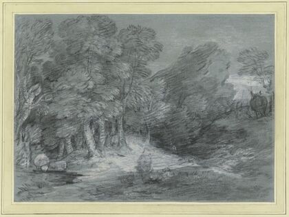 Forest landscape