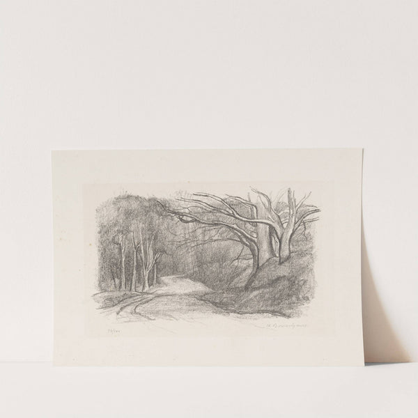 Forest landscape by Jean-Louis Boussingault