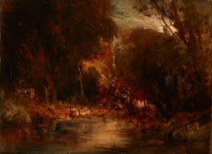 Forest Landscape