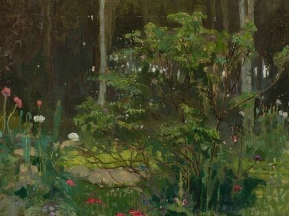 Forest landscape
