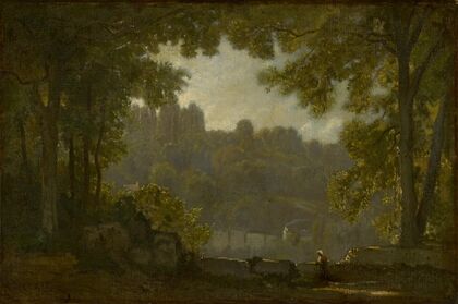 Forest Landscape
