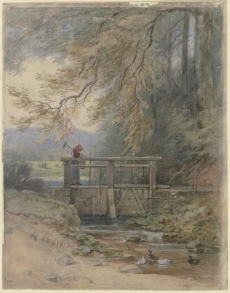 Forest landscape with weir