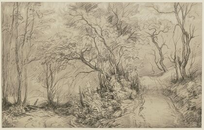 Forest path