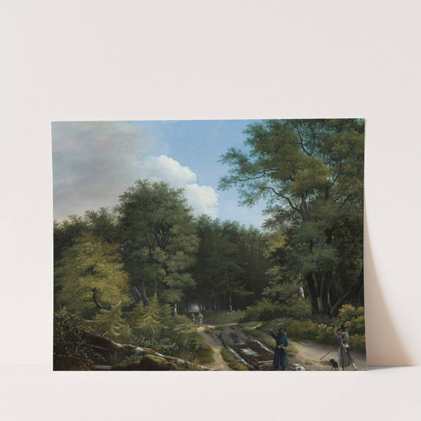 Forest road by Kazimierz Żwan