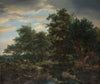 Forest scene
