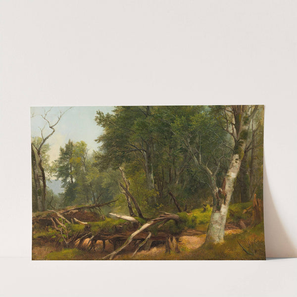 Forest Scene in the Catskills (between 1855 and 1860) by Asher Brown Durand