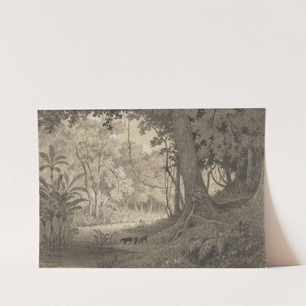 Forest Scenery near Tamana by Michel Jean Cazabon