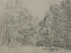 Forest section 2
