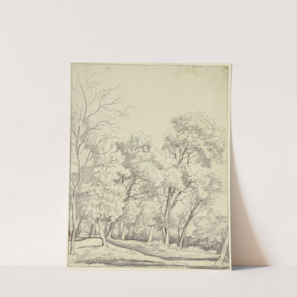 Forest section by Roelant Roghman