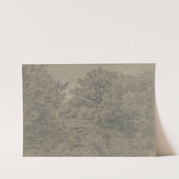 Forest section with path by Jakob Maurer