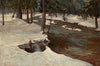 Forest Stream