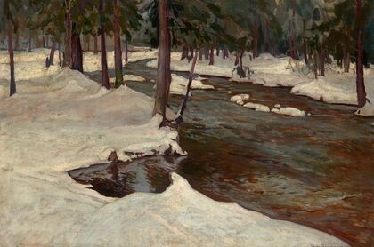 Forest Stream