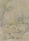 Forest Stream