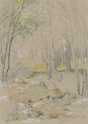 Forest Stream