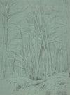 Forest View Near Fontainebleau