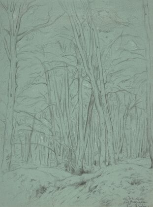 Forest View Near Fontainebleau