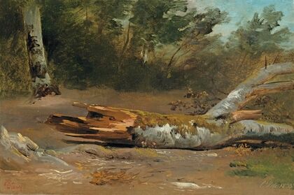 ForestÂ with Tree Trunk (L’jsle)