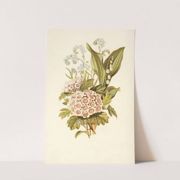 Forget-me-not, Hawthorn, Lily of the Valley by Robert Tyas