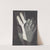 Fotogramm by László Moholy-Nagy