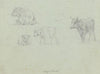 Four cattle