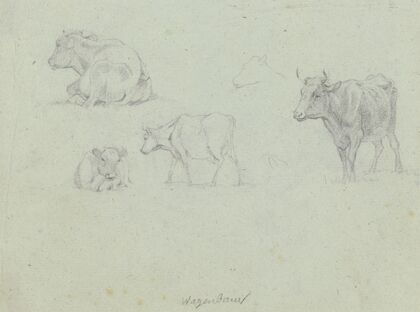 Four cattle
