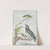 Four Different Birds on a Branch (c. 1730 - c. 1792) by Aert Schouman