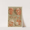 Four Dissected Heads with Details of Eyes by Arnauld Gautier d'''Agoty