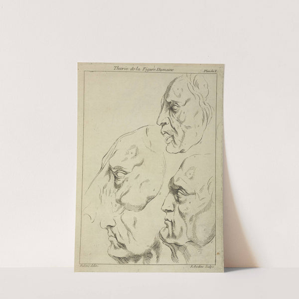 Four faces-three human, one horse- in profile by Peter Paul Rubens