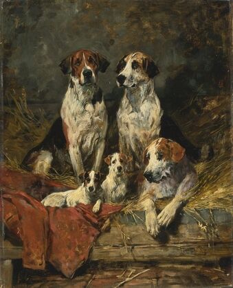 Four Foxhounds and a Terrier