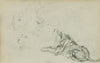 Four lion studies