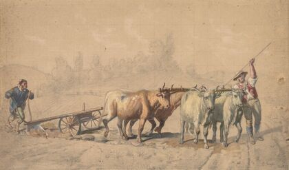 Four Oxen Pulling a Plough (1853)