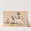 Four sheep by Benno Raffael Adam