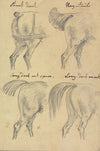 Four Sketches of Horse Tails