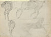 Four Studies of Horses (1829–31)