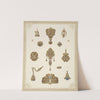 Fourteen Designs For Jewelry, Including Gold Brooches And Pins Containing Blue Stones. (1872 - 1873) by Martin Gerlach