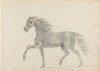 Fourty-three Studies of Horses and Riders Pl.09