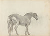 Fourty-three Studies of Horses and Riders Pl.13