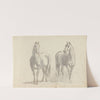 Fourty-three Studies of Horses and Riders Pl.15 by Sawrey Gilpin