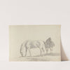 Fourty-three Studies of Horses and Riders Pl.19 by Sawrey Gilpin