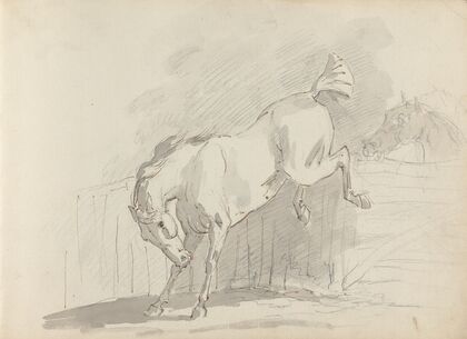 Fourty-three Studies of Horses and Riders Pl.20