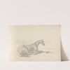 Fourty-three Studies of Horses and Riders Pl.24 by Sawrey Gilpin