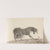 Fourty-three Studies of Horses and Riders Pl.25 by Sawrey Gilpin