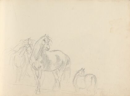 Fourty-three Studies of Horses and Riders Pl.38