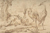 Fox With Two Herons