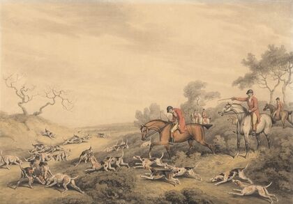Foxhunting; At Fault