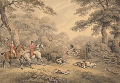 Foxhunting; Breaking Cover