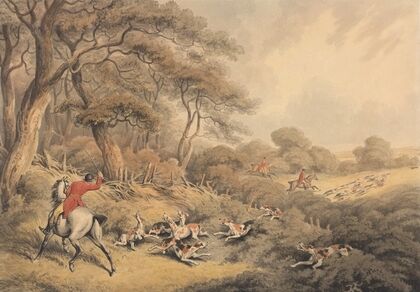 Foxhunting; Stopping Hounds That Have Changed