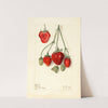 Fragaria: Pink Tea by Elsie E. Lower